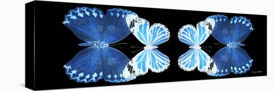 Miss Butterfly Duo Stichatura Pan - X-Ray Black Edition II-Philippe Hugonnard-Stretched Canvas