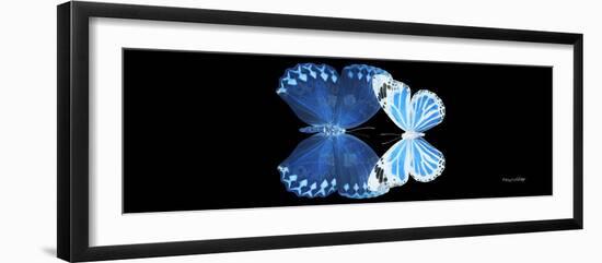 Miss Butterfly Duo Stichatura Pan - X-Ray Black Edition-Philippe Hugonnard-Framed Photographic Print