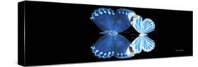 Miss Butterfly Duo Stichatura Pan - X-Ray Black Edition-Philippe Hugonnard-Stretched Canvas