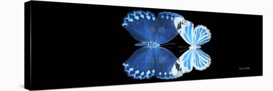 Miss Butterfly Duo Stichatura Pan - X-Ray Black Edition-Philippe Hugonnard-Stretched Canvas