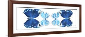 Miss Butterfly Duo Stichatura Pan - X-Ray White Edition II-Philippe Hugonnard-Framed Photographic Print