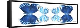 Miss Butterfly Duo Stichatura Pan - X-Ray White Edition II-Philippe Hugonnard-Framed Stretched Canvas