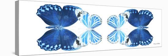 Miss Butterfly Duo Stichatura Pan - X-Ray White Edition II-Philippe Hugonnard-Stretched Canvas