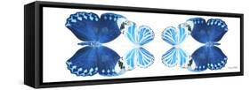 Miss Butterfly Duo Stichatura Pan - X-Ray White Edition II-Philippe Hugonnard-Framed Stretched Canvas