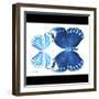 Miss Butterfly Duo Stichatura Sq - X-Ray B&W Edition-Philippe Hugonnard-Framed Photographic Print