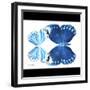 Miss Butterfly Duo Stichatura Sq - X-Ray B&W Edition-Philippe Hugonnard-Framed Photographic Print