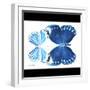 Miss Butterfly Duo Stichatura Sq - X-Ray B&W Edition-Philippe Hugonnard-Framed Photographic Print
