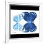 Miss Butterfly Duo Stichatura Sq - X-Ray B&W Edition-Philippe Hugonnard-Framed Photographic Print