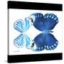 Miss Butterfly Duo Stichatura Sq - X-Ray B&W Edition-Philippe Hugonnard-Stretched Canvas