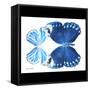 Miss Butterfly Duo Stichatura Sq - X-Ray B&W Edition-Philippe Hugonnard-Framed Stretched Canvas