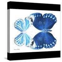 Miss Butterfly Duo Stichatura Sq - X-Ray B&W Edition-Philippe Hugonnard-Stretched Canvas