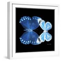 Miss Butterfly Duo Stichatura Sq - X-Ray Black Edition-Philippe Hugonnard-Framed Photographic Print