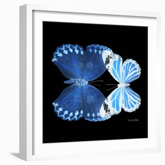 Miss Butterfly Duo Stichatura Sq - X-Ray Black Edition-Philippe Hugonnard-Framed Photographic Print