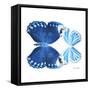 Miss Butterfly Duo Stichatura Sq - X-Ray White Edition-Philippe Hugonnard-Framed Stretched Canvas