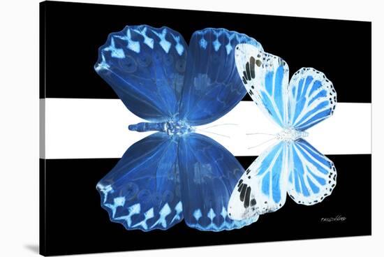 Miss Butterfly Duo Stichatura - X-Ray B&W Edition II-Philippe Hugonnard-Stretched Canvas