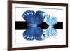 Miss Butterfly Duo Stichatura - X-Ray B&W Edition-Philippe Hugonnard-Framed Photographic Print