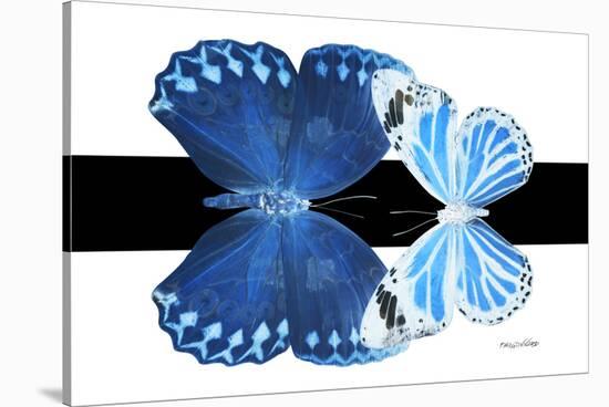 Miss Butterfly Duo Stichatura - X-Ray B&W Edition-Philippe Hugonnard-Stretched Canvas