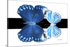 Miss Butterfly Duo Stichatura - X-Ray B&W Edition-Philippe Hugonnard-Stretched Canvas