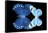 Miss Butterfly Duo Stichatura - X-Ray Black Edition-Philippe Hugonnard-Framed Stretched Canvas