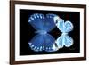 Miss Butterfly Duo Stichatura - X-Ray Black Edition-Philippe Hugonnard-Framed Photographic Print