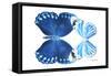 Miss Butterfly Duo Stichatura - X-Ray White Edition-Philippe Hugonnard-Framed Stretched Canvas