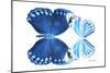 Miss Butterfly Duo Stichatura - X-Ray White Edition-Philippe Hugonnard-Mounted Photographic Print