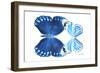 Miss Butterfly Duo Stichatura - X-Ray White Edition-Philippe Hugonnard-Framed Photographic Print