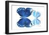 Miss Butterfly Duo Stichatura - X-Ray White Edition-Philippe Hugonnard-Framed Photographic Print