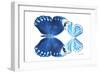 Miss Butterfly Duo Stichatura - X-Ray White Edition-Philippe Hugonnard-Framed Photographic Print