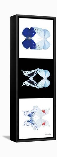 Miss Butterfly Duo X-Ray Pano II-Philippe Hugonnard-Framed Stretched Canvas