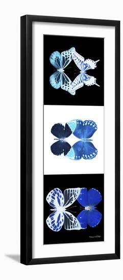 Miss Butterfly Duo X-Ray Pano-Philippe Hugonnard-Framed Photographic Print