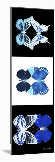 Miss Butterfly Duo X-Ray Pano-Philippe Hugonnard-Mounted Photographic Print