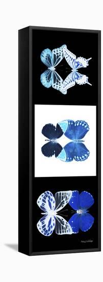 Miss Butterfly Duo X-Ray Pano-Philippe Hugonnard-Framed Stretched Canvas