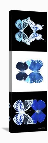 Miss Butterfly Duo X-Ray Pano-Philippe Hugonnard-Stretched Canvas