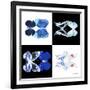 Miss Butterfly Duo X-Ray Square II-Philippe Hugonnard-Framed Photographic Print