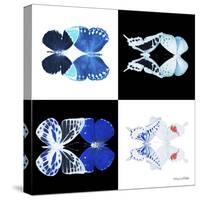 Miss Butterfly Duo X-Ray Square II-Philippe Hugonnard-Stretched Canvas