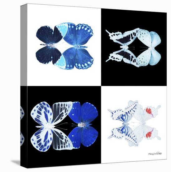 Miss Butterfly Duo X-Ray Square II-Philippe Hugonnard-Stretched Canvas