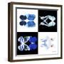 Miss Butterfly Duo X-Ray Square II-Philippe Hugonnard-Framed Photographic Print