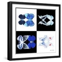 Miss Butterfly Duo X-Ray Square II-Philippe Hugonnard-Framed Photographic Print