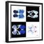 Miss Butterfly Duo X-Ray Square II-Philippe Hugonnard-Framed Photographic Print