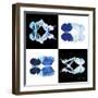Miss Butterfly Duo X-Ray Square-Philippe Hugonnard-Framed Photographic Print
