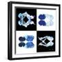 Miss Butterfly Duo X-Ray Square-Philippe Hugonnard-Framed Photographic Print