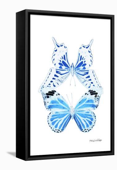 Miss Butterfly Duo Xugenutia II - X-Ray White Edition-Philippe Hugonnard-Framed Stretched Canvas