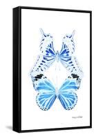 Miss Butterfly Duo Xugenutia II - X-Ray White Edition-Philippe Hugonnard-Framed Stretched Canvas