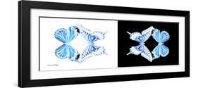 Miss Butterfly Duo Xugenutia Pan - X-Ray B&W Edition-Philippe Hugonnard-Framed Photographic Print