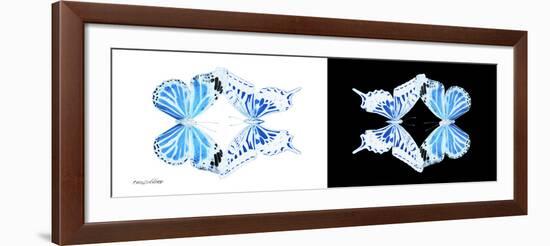 Miss Butterfly Duo Xugenutia Pan - X-Ray B&W Edition-Philippe Hugonnard-Framed Photographic Print