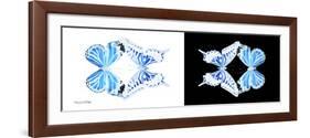 Miss Butterfly Duo Xugenutia Pan - X-Ray B&W Edition-Philippe Hugonnard-Framed Photographic Print