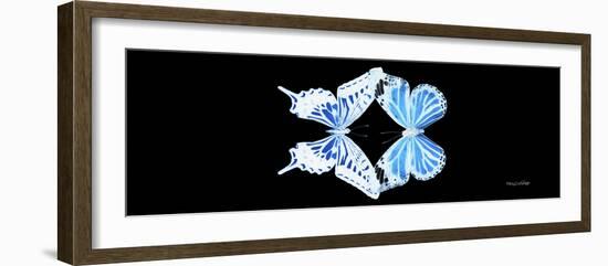 Miss Butterfly Duo Xugenutia Pan - X-Ray Black Edition-Philippe Hugonnard-Framed Photographic Print