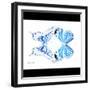 Miss Butterfly Duo Xugenutia Sq - X-Ray B&W Edition-Philippe Hugonnard-Framed Photographic Print