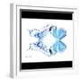 Miss Butterfly Duo Xugenutia Sq - X-Ray B&W Edition-Philippe Hugonnard-Framed Photographic Print